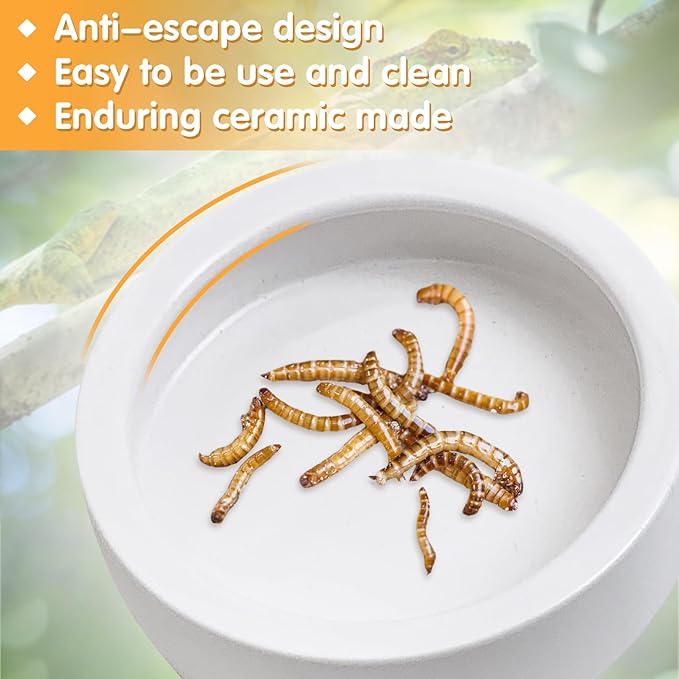 Tfwadmx 2 Pack Reptile Food Bowl, Ceramic Water Feeder Bowl, Reptile Worm Feeding Dish for Lizard Turtle Bearded Dragon Anoles Crested Gecko Hermit Crab Leopard Gecko Chameleon Corn Snake