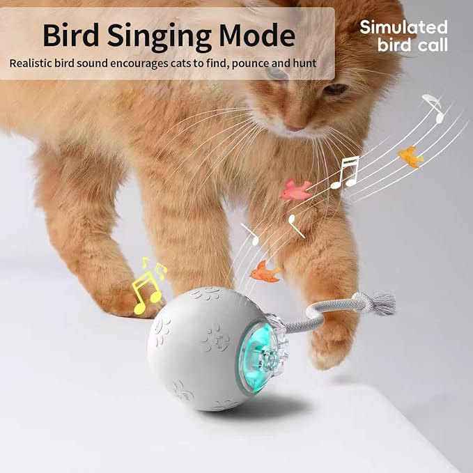 Interactive Cat Toys, Automatic Moving Cat Toys for Bored Indoor Adult Cats, Fast Rolling, Chirping & Motion-Activated Kitty Toys, Fun Gift for Cats with Speedy Tail 2.0, USB Rechargeable (Gray)