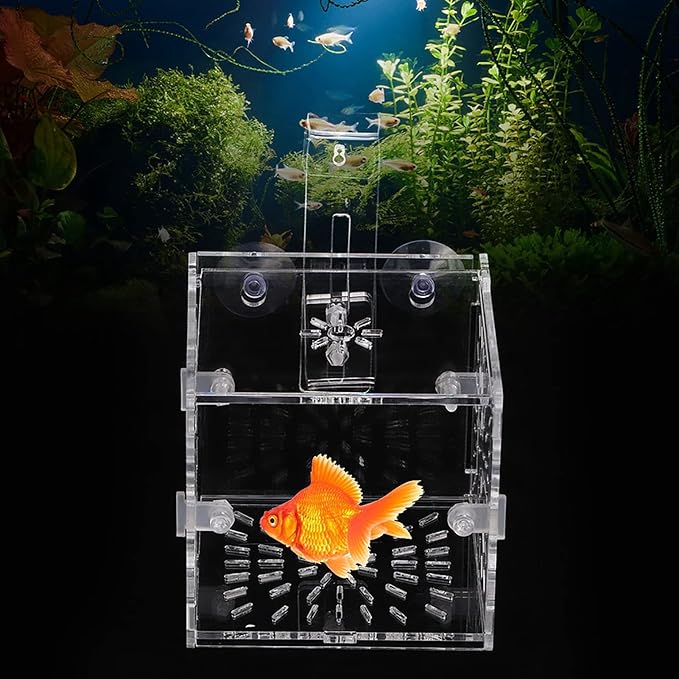 Acrylic Transparent Fish Tank, Breeding Isolation Box Aquarium Hatchery Incubator Holder with Screw Reinforcement, Convenient Use Comes with Isolation Board for Fish Breeding