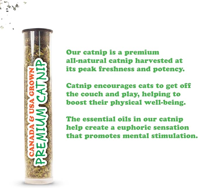 Meowijuana Get Spooked Bundle | Pumpkin Spice Latte Refillable Toy and Harvest Moon Blend | Promotes Play and Cat Health | Includes North American Organic Catnip