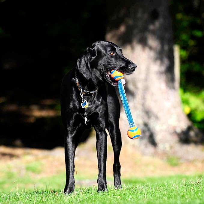 Chuckit! Ultra Duo Tug Dog Toy, Small Indoor and Outdoor Dog Ball for Dogs 0-20 Pounds