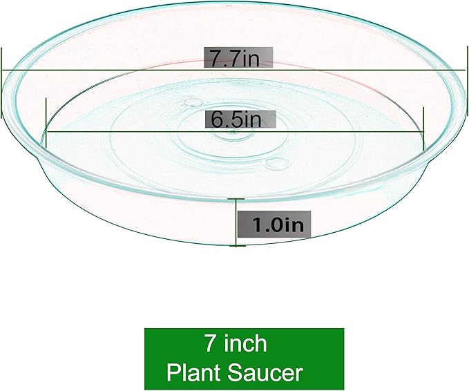 6 Pack of 7 inch Plant Saucer Clear, Heavy Duty Plastic Plant Water Tray 7 inch Round, Flower Plant Saucers for Indoors No Holes, Plant Dishes Saucer for Planter 7"/8" (7", Beige)