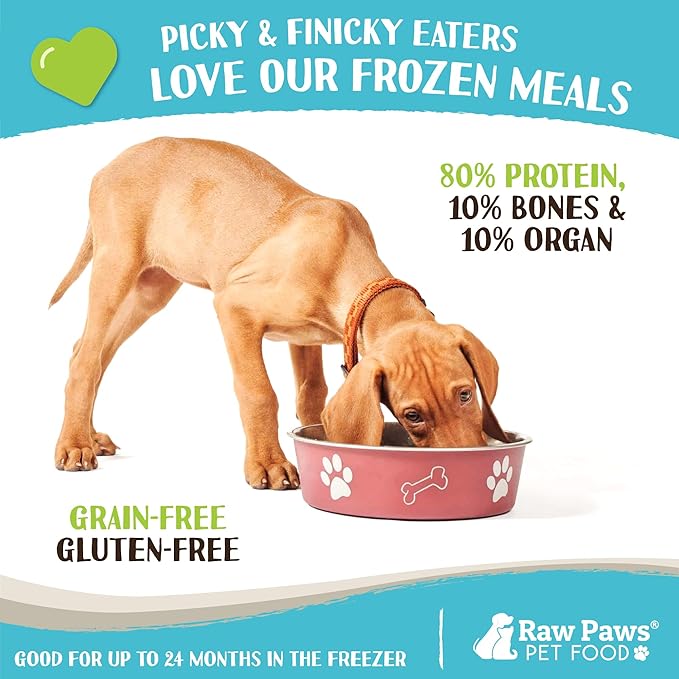 Raw Paws Signature Blend Pet Food for Dogs & Cats - Turkey Recipe, 1-lb Rolls (10-Count) - Made in USA Frozen Turkey Roll Dog Food - Refrigerated Log Dog Food - Raw Frozen Food for Dogs