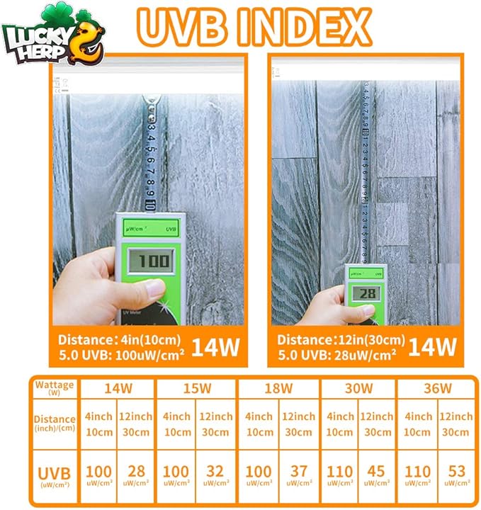 LUCKY HERP 15inch 14W T8 UVB 10.0 Reptile Light, UVA UVB Bulb, Fluorescent Lamp for Reptiles Amphibian