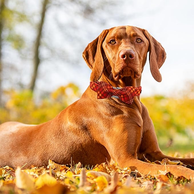 Fall Dog Collar, Pet Collar Bow Plaid Pet Collars Girl Boy Holiday Pet Collars Gift Bow Collars Cute Soft Puppy Collars for X-Large Dogs