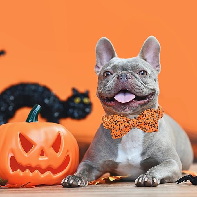 Halloween Dog Collar, Pet Collar Dog Bow Pumpkin Dogs Collar Girl Boy Holiday Pet Dogs Collar Gift Bow Dog Collar Cute Soft Puppy Collar for X-Small Puppy