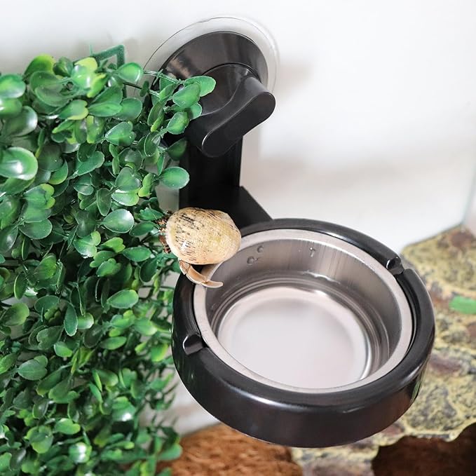 Small Animals Feeding Tray with Sucker, Reptile Feeding Cup, Reptile Food and Water Bowl, Single Bowl Reptile Food Dish with Powerful Suction Cup