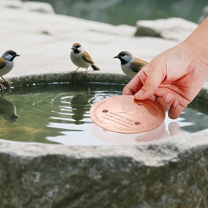 Bird Bath Copper Disk, Sturdy 1mm 99.9% Pure Copper Disk, Triple-Point Support Ensures Clean Water Year-Round, Fits Most Outdoor Birdbath Bowls (2)