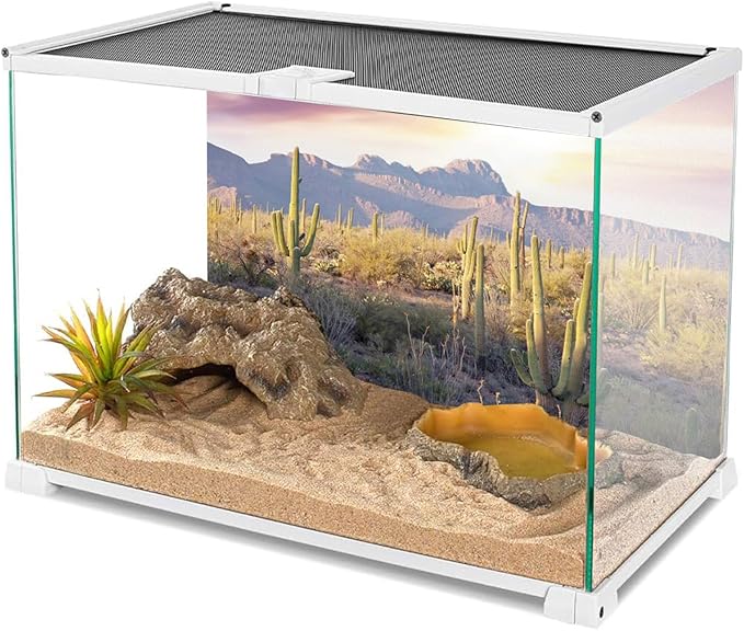 AWERT Reptile Habitat Background Blue Sky Oasis Mountain Cactus Sun and Desert Terrarium Background 48x20 inches