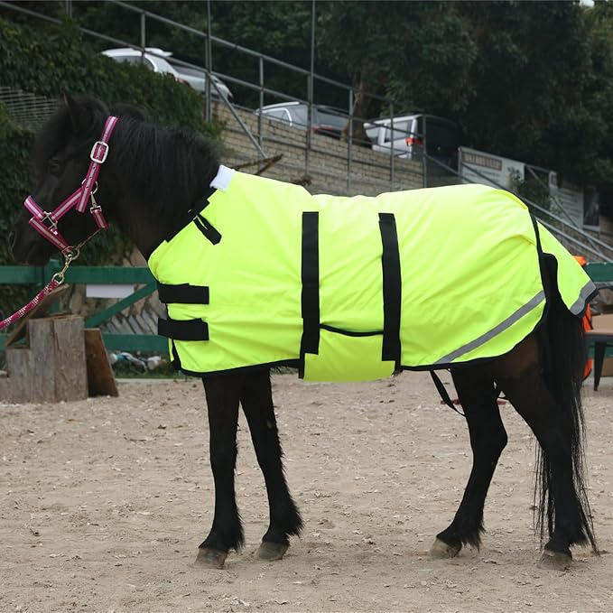Foal/Mini Horse Size 30"-48" Waterproof & Breathable 300 Denier Winter Turnout Blanket with 150g Polyfill Green Small