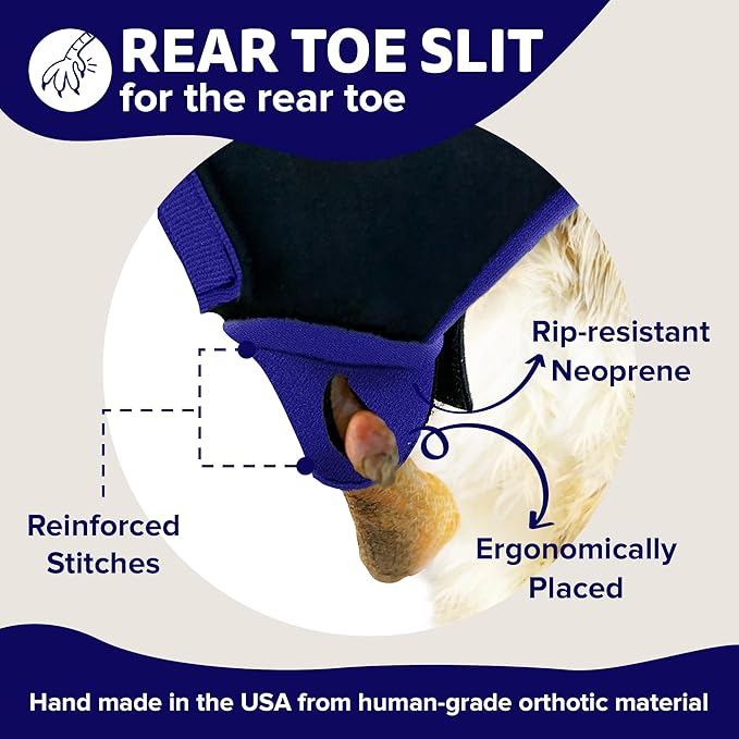Duck Shoes for Injured Feet – Protective Neoprene Footwear for Ducks, Protective Shoes for Birds with Injured feet, Bumblefoot Relief - Medium, 3.5” Max. Inside Width - Royal Blue
