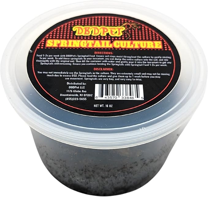 DBDPet Live Springtail Cultures - Great for Terrariums, Vivariums, and More - Microfauna for Bioactive Reptile & Amphibian Cages (Soil Culture)