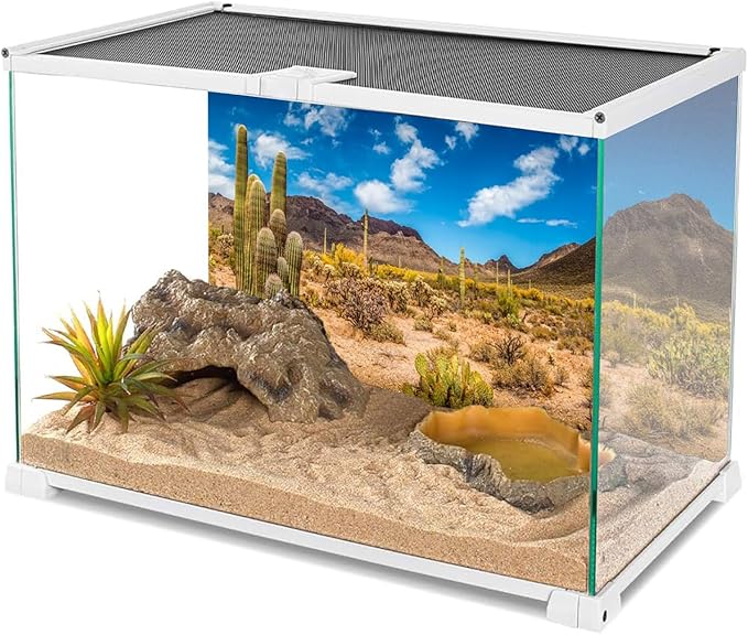 AWERT 36x24 inches Reptile Habitat Background Blue Sky Oasis Cactus Desert Terrarium Background Vinyl