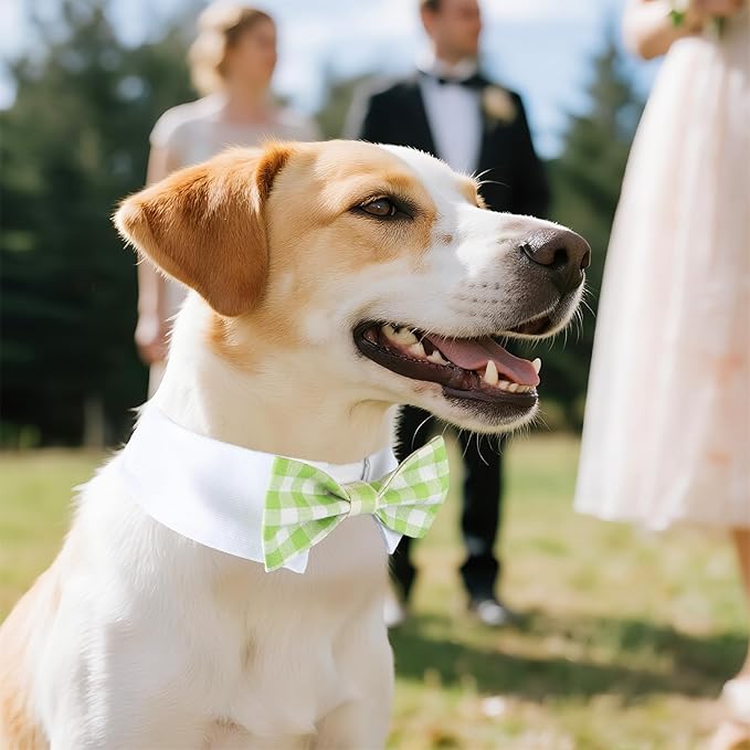 Segarty Dog Bow Tie, Adjustable Green Plaid Bowtie Collar for Neck Girth 10.2-12.6in, Medium Pet Tie Tuxedo Comfortable Cotton Boy Pet Grooming Accessory for Formal Wedding Holiday Birthday Party