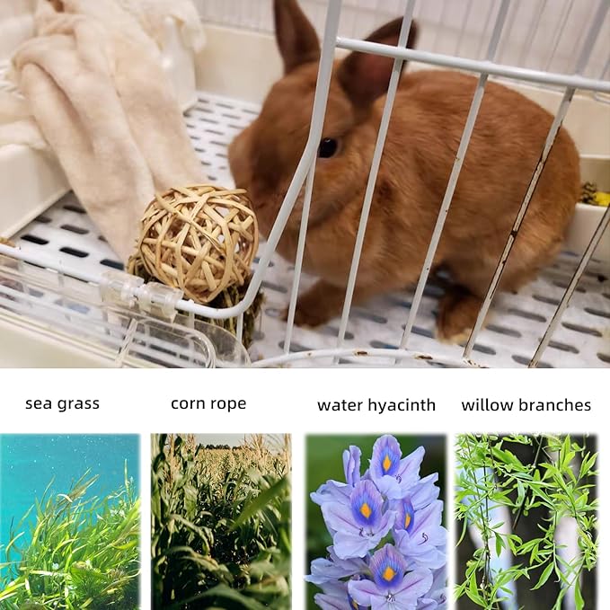 48PCS Rabbit Grass Balls 1.96in Guinea Pig Balls Small Animal Activity Enrichment Toy for Bunny Chinchilla Hamster Gerbil Grinding Playing