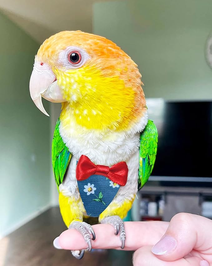 UKJENT Bird Diaper Protective Parrot Nappy - 2 Pack, Reusable Flight Suit with Waterproof Inner Layer, Washable Cute Urine Wet Suit for Cockatiel Monk Parakeet Sun Parakeet Lory(M)