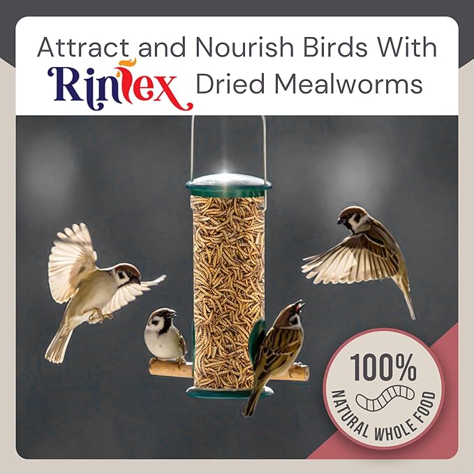 Dried Mealworms 10 lbs - More Protein Than Black Soldier Fly Larvae for Chickens (BSFL) - Wild Bird Seed for Outside Feeders - Worms for Chickens, Wild Birds, Bluebirds, Woodpeckers