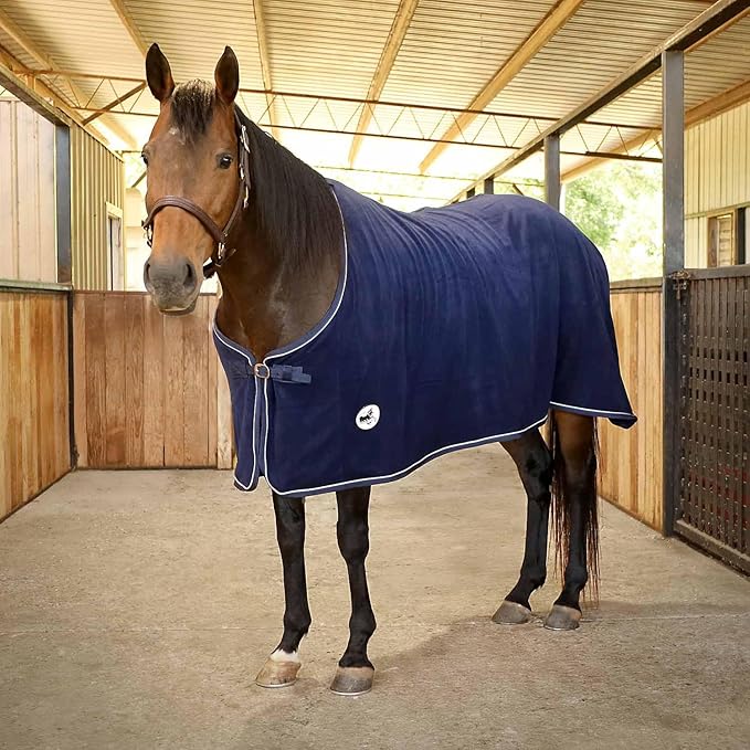 Jeffers Equine Elite Fleece Horse Cooler Blanket, 81 Inch – Soft, Adjustable Fit, Lightweight, Easy Care, Moisture Wicking Cooling Sheet with Surcingle for Post Exercise, Travel for Horses – Navy