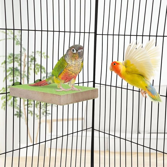 Hypeety Colorful Bird Perch Stand Platform for Parrot Macaw African Greys Budgies Parakeet Cockatiels Natural Wood Paw Grinding Clean Cage Toy (Random Color)(B)