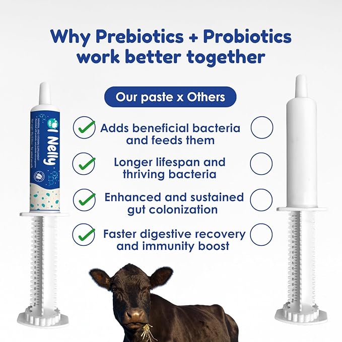 Ruminants Pre and Probiotic Paste (30 Pack, 80g Each)- with Vitamins and Minerals- 6 Strains and 8 Billion CFU- Immune and Gastro Health Support for All Ruminants: Bovines, Goats & More