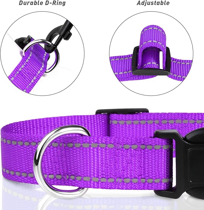 TagME Reflective Nylon Dog Collars, Adjustable Classic Pet Collar with Quick Release Buckle for Puppy, Purple, 3/8" Width