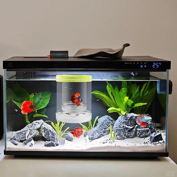 Breeder Box for Fish Tank, Plastic Floating Adjustable Mesh Isolation Hatchery Incubator Aquarium Divider for Small Baby Fish, Betta, Shrimp, Clownfish, Guppy (Green, Large)