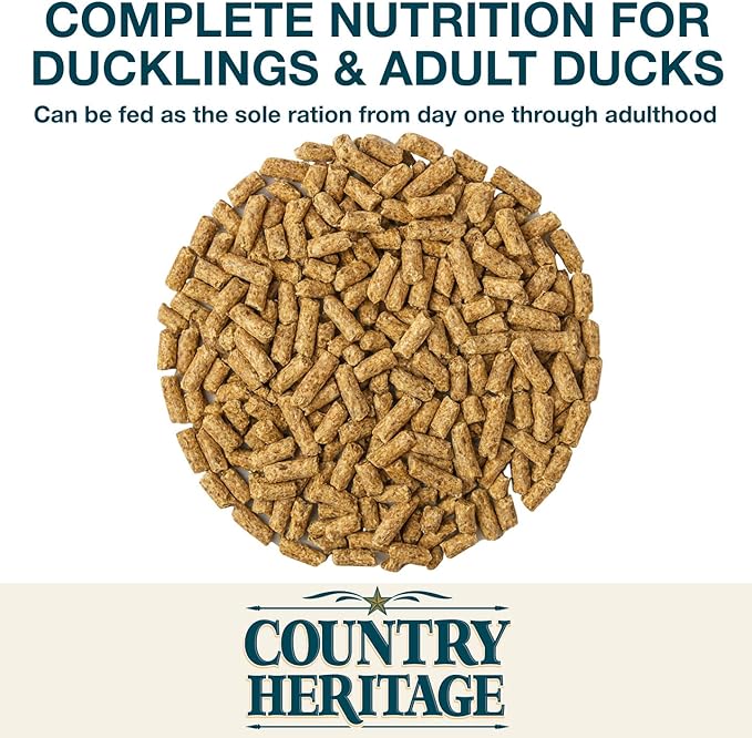 Country Heritage Duck Feed – Pellets for All Life Stages (19% Protein with Prebiotics & Probiotics) (10 Pounds)