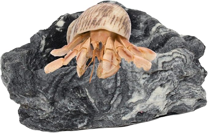 Needzo Corner Rock Bowl for Hermit Crabs, Food and Water Dish Accessory, Tank Supplies, 3 Inches