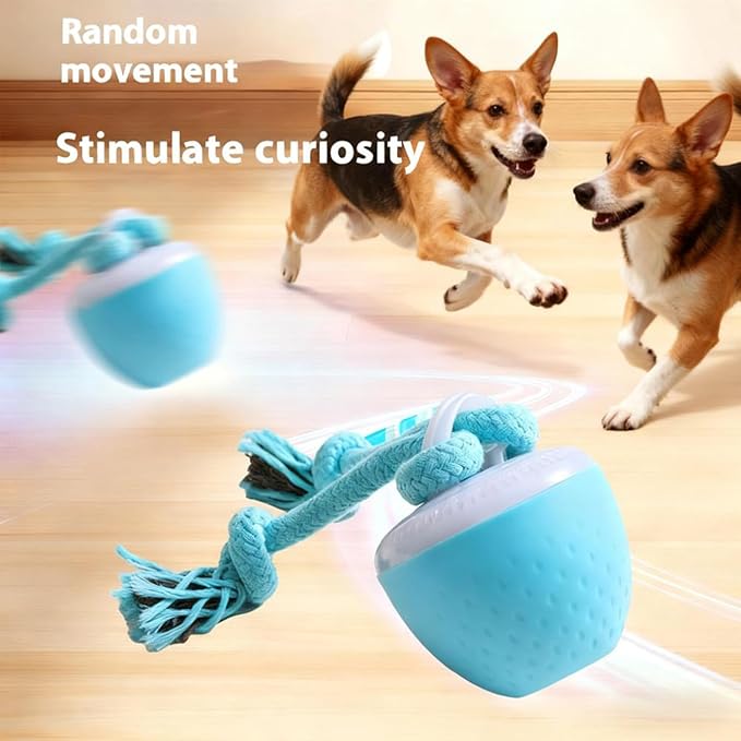 Interactive Dog Toys, Interactive Dog Ball with Birdsong Squeaky Chewable Rope for Small/Medium/Large Dogs,Automatic Moving Dogs Toy Wicked Ball for Boredom & Training,Dog Toys to Keep them Busy(Blue)
