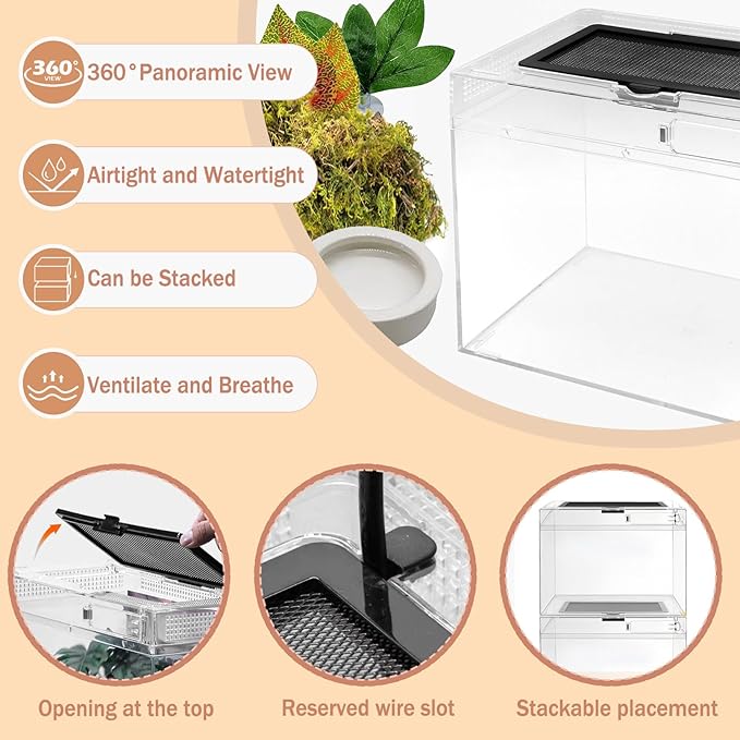 Reptile Terrarium, Jumping Spider Enclosure Starter Kit, Leopard Gecko Habitat Container, 8"x8"x7"Reptile Tank for Tarantula, Hermit Crab, Insect, Fish, Frog, Small Bearded Dragon, Lizard