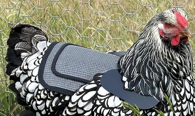 DOWN UNDER OUTDOORS 4 Pack Medium-Large Saddles with Adjustable Straps, Poultry Saver, Protector, Apron, Supplies, Care Products (Grey Mesh)…
