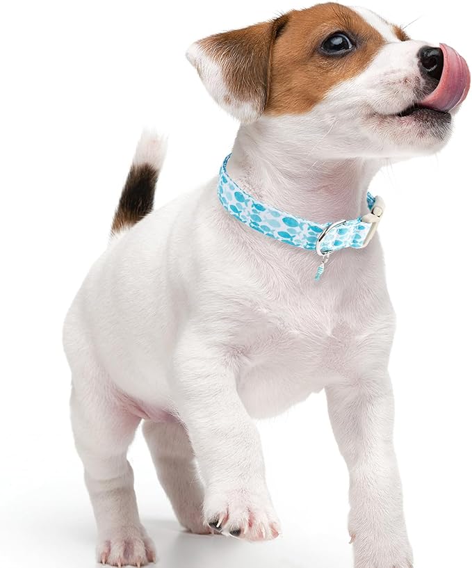 Faygarsle Fish Pattern Dog Collar, Adjustable with Buckle, Blue and White, Summer Design for Small Medium Large Dogs L