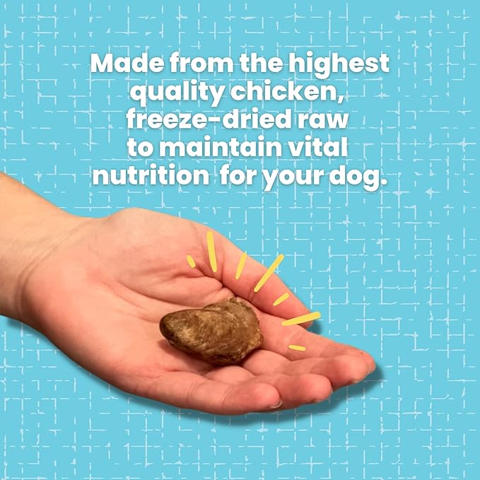 hotspot pets Freeze Dried Chicken Hearts for Cats & Dogs - 1LB Big Bag- Made in USA -Single Ingredient All Natural Grain-Free -Resealable Bag- Perfect for Training, Topper or Snack, Allergen-Free