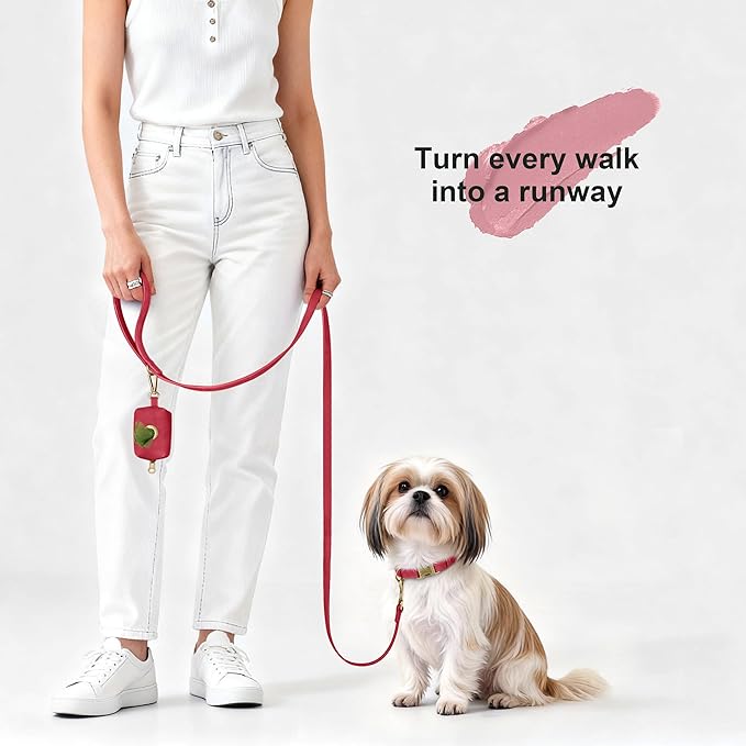Didog Soft PU Leather Dog Collar, Stylish Quick Released Dog Collars for Small Dogs, Easy Clean Adjustable Pet Collar for Daily Walking, Red, S Fit 10-16" Neck