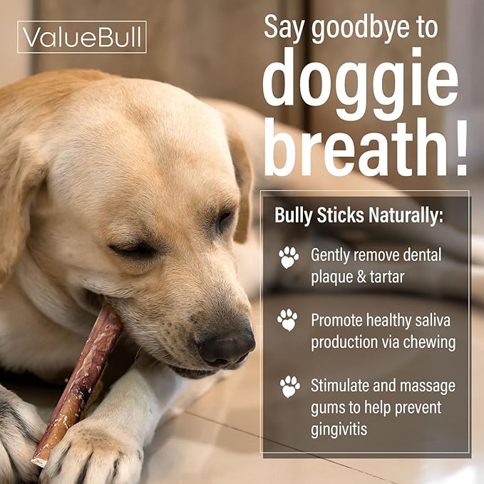 ValueBull Bully Sticks for Dogs, Thick 12 Inch, 25 Count - All Natural Dog Treats, 100% Beef Pizzles, Single Ingredient