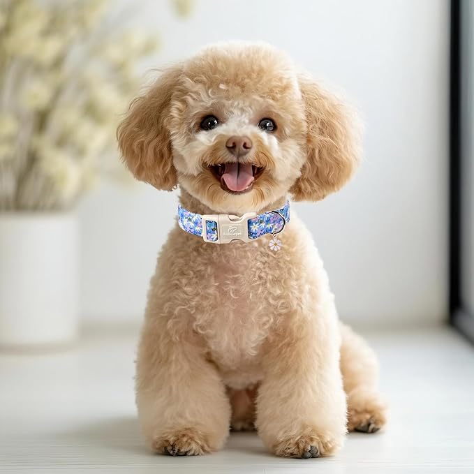 Floral Dog Collar for Large Dogs - Cute Spring Dog Collars, Soft Lightweight Bee & Daisy Puppy Collar, Breathable Adjustable Male Female Blue Wildflowers Dogs Collars L