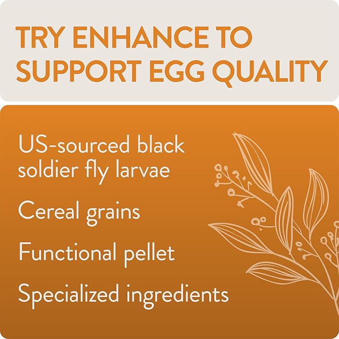 Enhance, Functional Poultry Treats for Egg Production & Quality, 1.5 lb