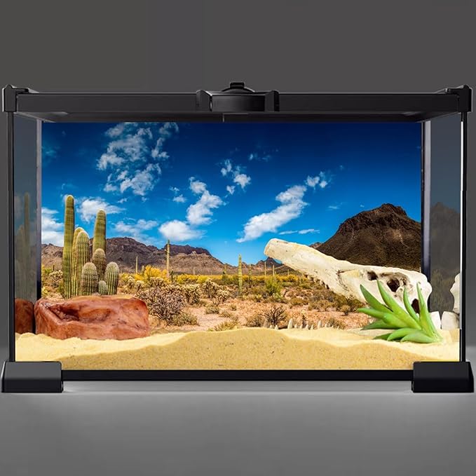 AWERT 48x20 inches Reptile Habitat Background Blue Sky Oasis Cactus Desert Terrarium Background Vinyl