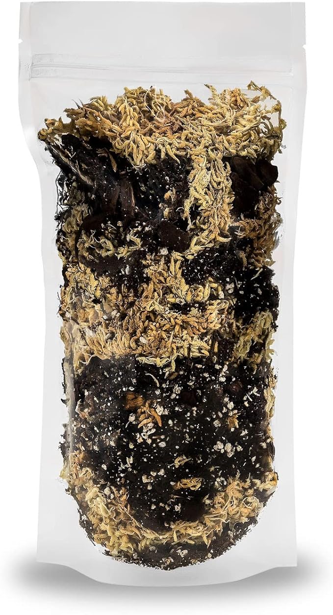 Gardenera Premium Orchid Mix by GARDENERA | Fern + New Zealand Pine Bark + Sphagnum Moss + Perlite | Best for Growing and Repotting Orchids - 2 Quart Bag