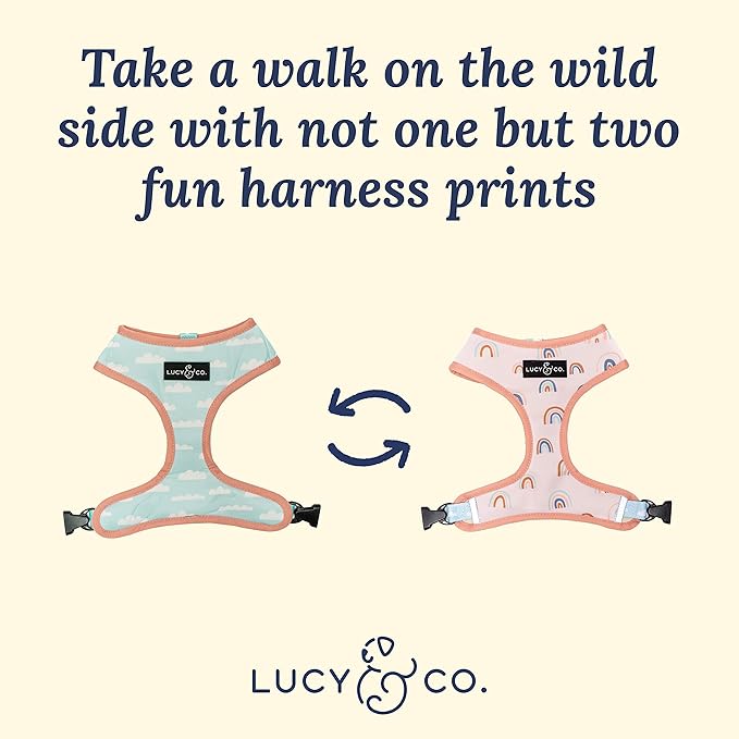 Lucy & Co. in The Clouds, Cute Reversible Dog Harness Walking Halter - Best Designer Pet Harnesses for Medium Dogs - Padded Adjustable Vest for Easy Walking (X-Large)
