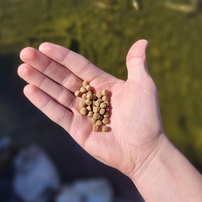 HALF OFF PONDS All Seasons Koi Fish Food - 5 lb Floating Pellets, 5mm Size - Goldfish Food for Ponds - 28% Protein with Wheat Germ & Vitamins - Ideal for Year-Round Feeding & Water Clarity