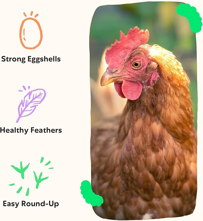 Grubbly Farms Grubblies - Black Soldier Fly Larvae for Chickens - Chicken Treats Grown in The US and Canada - for Strong Eggshells and Healthy Feathers - Grubblies Hometown Harvest 5LB