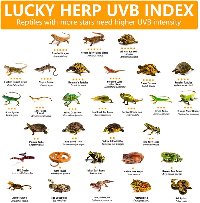 LUCKY HERP 80 Watt UVA+UVB Vapor Heat Lamp Bulb, High Intensity Self-Ballasted Heat Basking Lamp/Bulb/Light for Reptile and Amphibian, Sun Lamp for Bearded Dragon Lizard Turtle