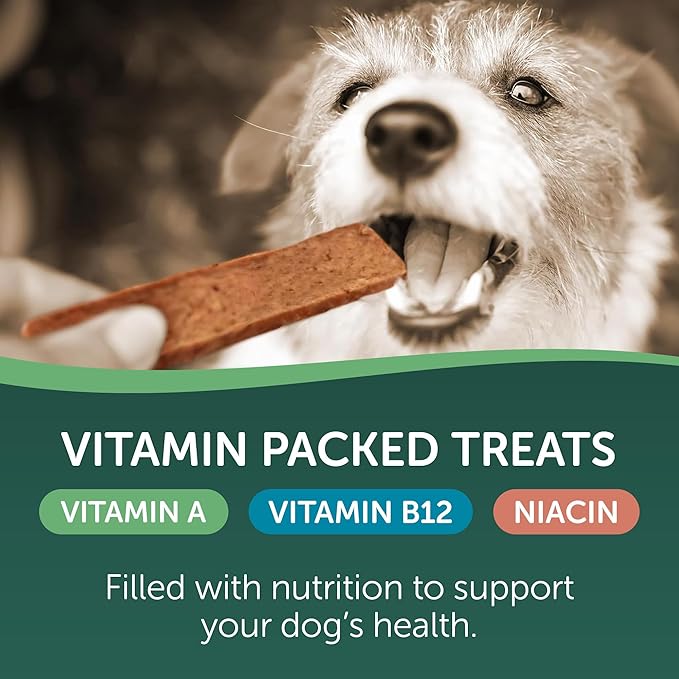 HEALTHFULS Salmon Fillet Dog Treats, 3.5oz (Pack of 2)