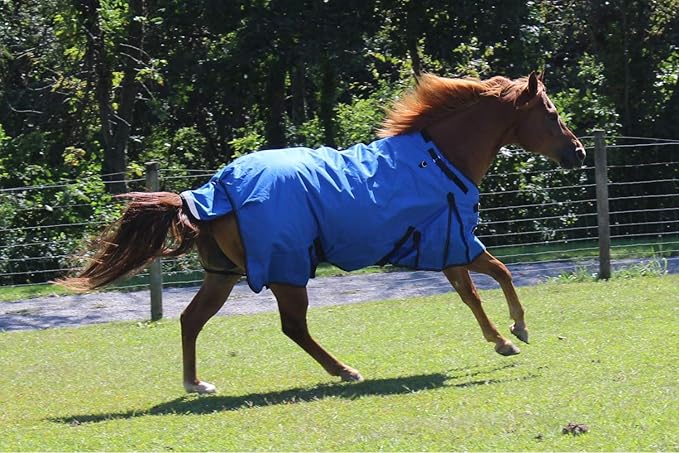 Derby Originals Nordic Tough 1200D Ripstop Waterproof Reflective Winter Horse Turnout Blanket 300g Heavy Weight, Chocolate Brown, 84"