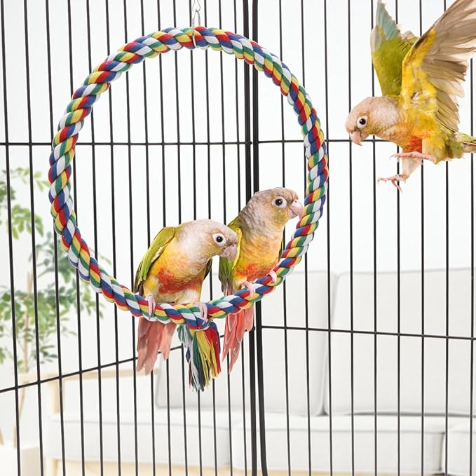 Bird Rope Swing Colorful Perch Climbing Toy for Parrots Budgie Parakeet Cockatiel Cockatoo Conure (M (10.4 inch)