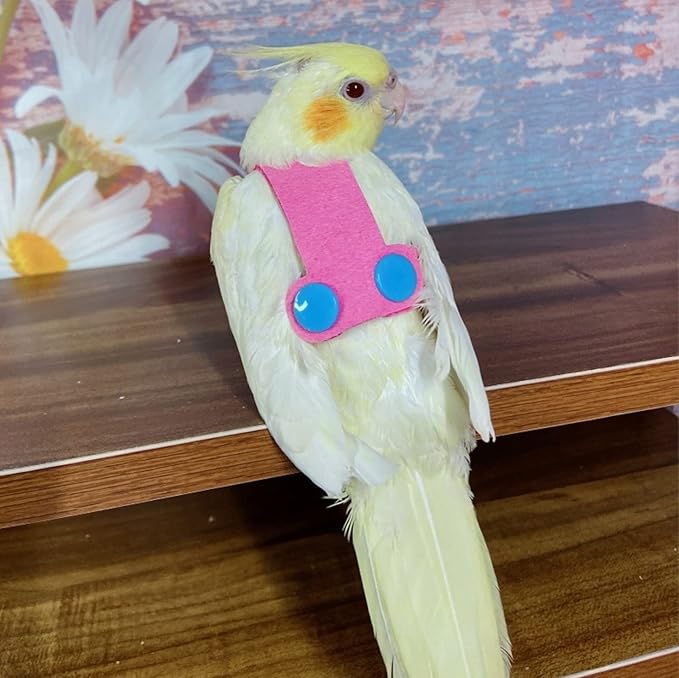 Bird Flight Harness Vest, Parrot Flight Suit with Leash for Parakeets Cockatiels Conures Budgies, Bird Flying Clothes with Rope and Handle for Outdoor Activities Training (L, Pink)