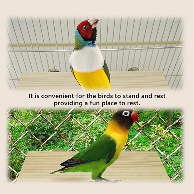 2Pcs Solid Wood Parrot Stand and Small Animal Climbing Platform