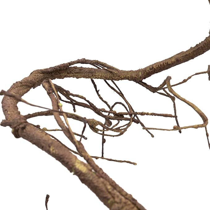 Pangea Reptile Ultimate Vine for Terrarium Habitat (Brown)