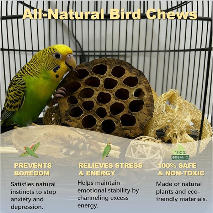 Bird Toys - Lotus Pod Foraging Box, 10 Natural Ingredients | Chewing and Shredding Parrot Toys | Ideal for Parakeets/Cockatiels/Conures/Lovebirds and Small to Medium Birds